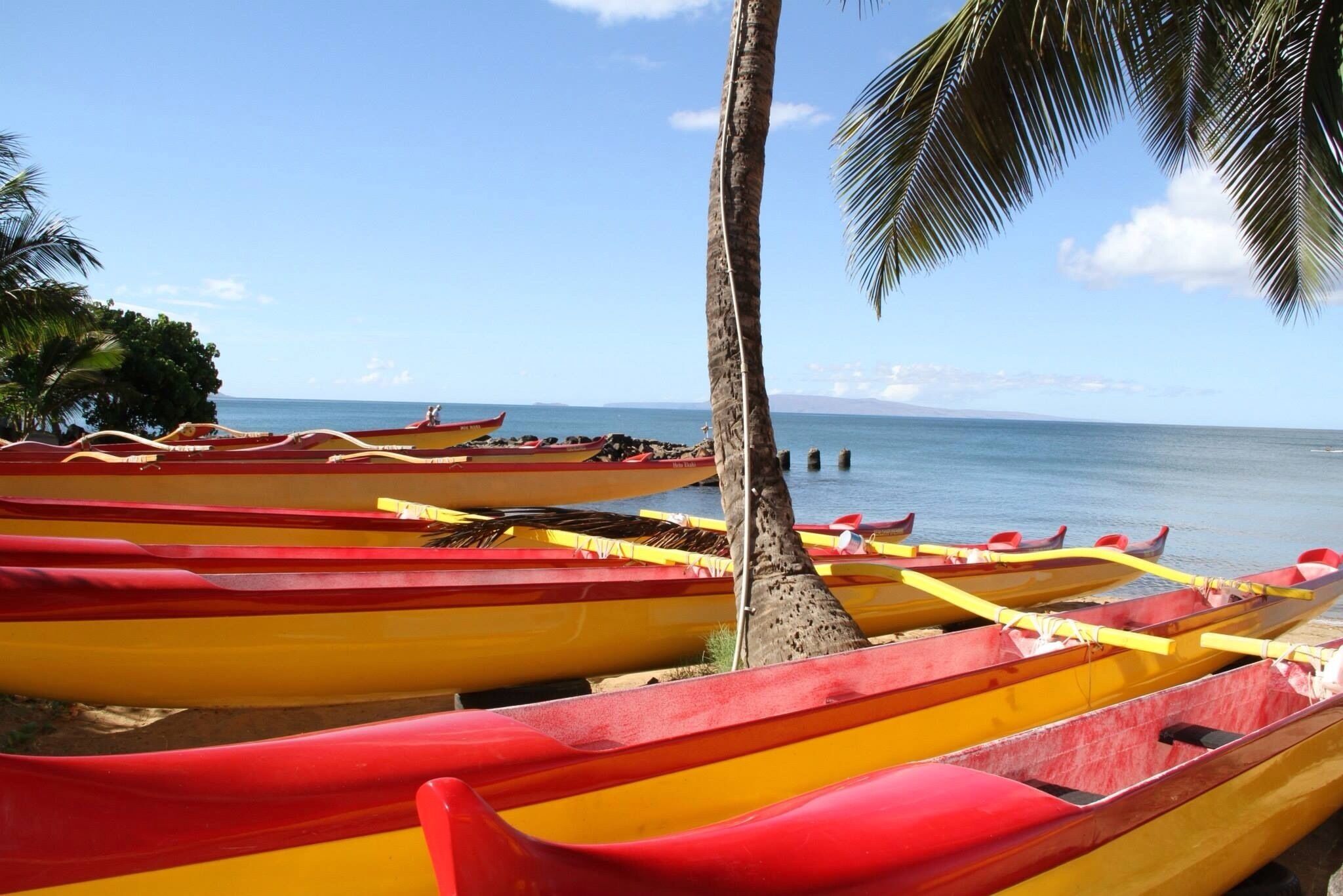 Canoes used by The Kihei Canoe Club of Maui. Their mission is to revive and develop and  promote Hawaiian traditions through educational, recreational, cultural and competitive canoeing programs for youths and adult