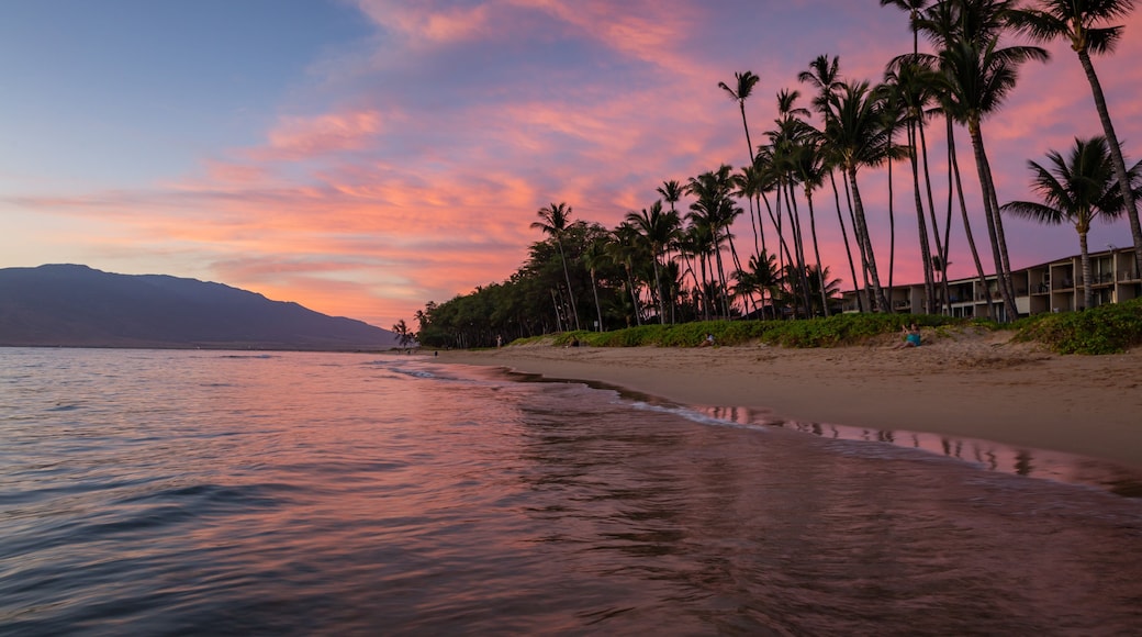 North Kihei