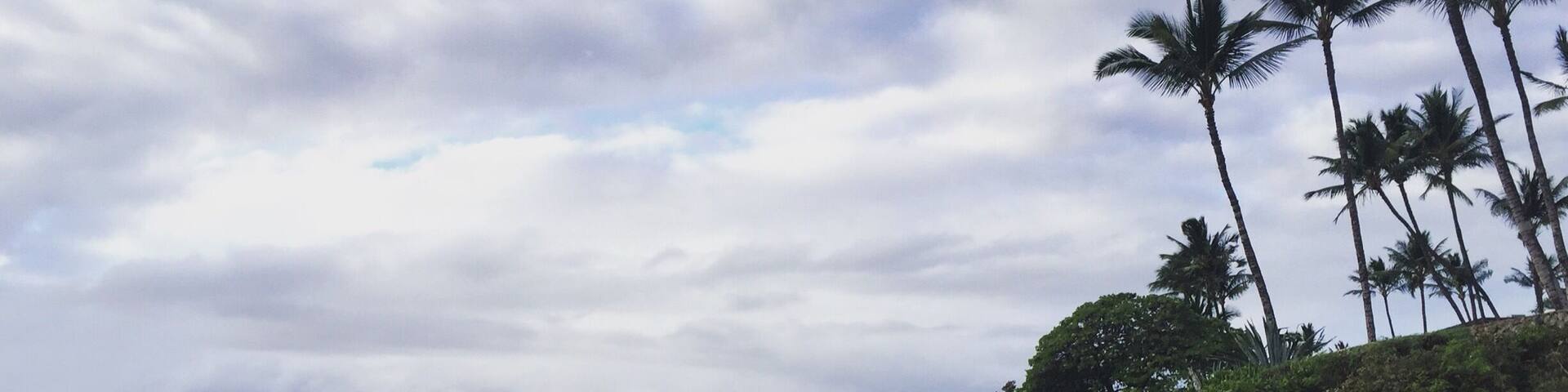 Although this isn't a large beach, at night there's very little light pollution and a safe place to gaze at the stars.