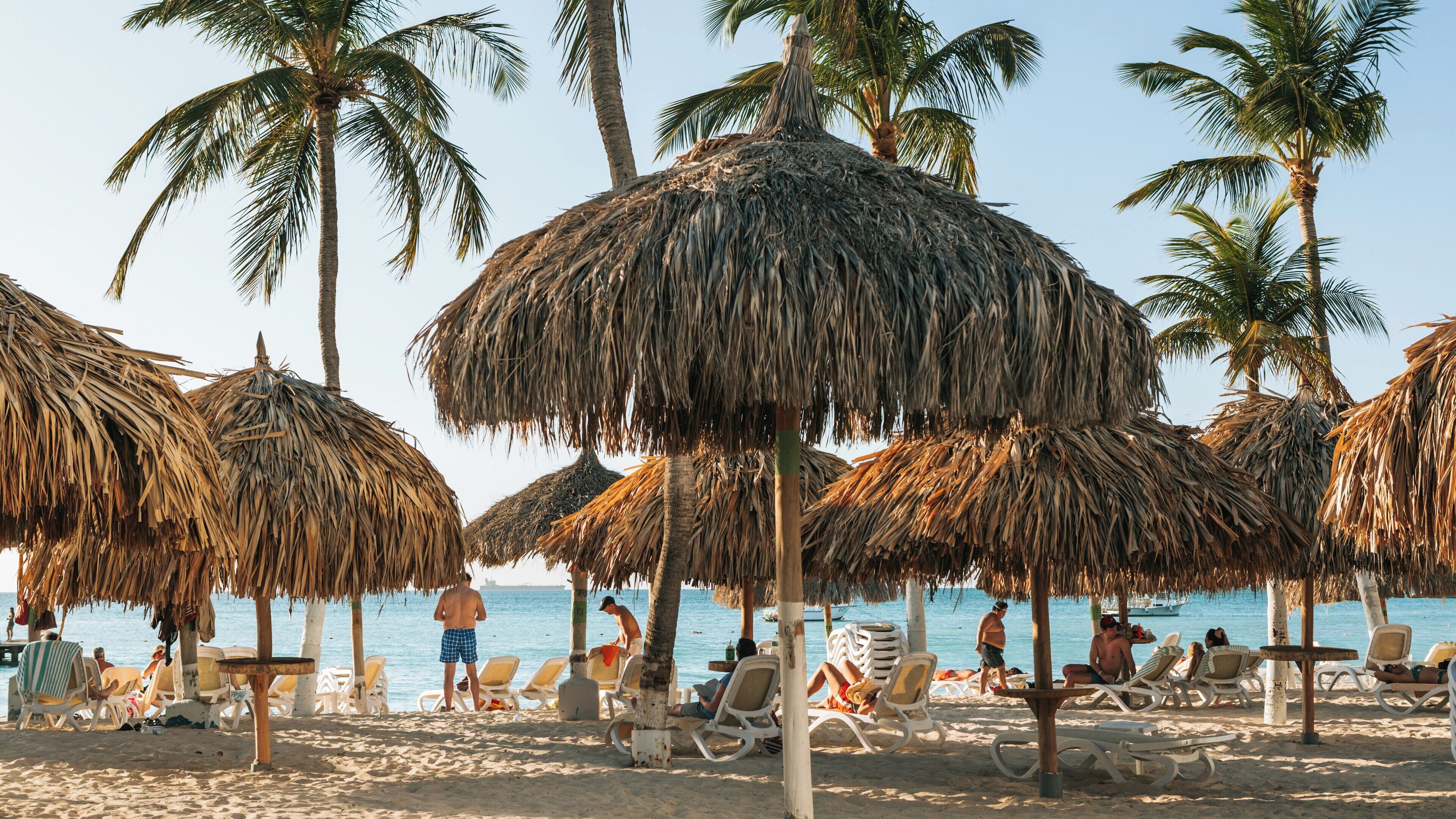 Una playa con sombrillas de paja, palmeras y tumbonas.
