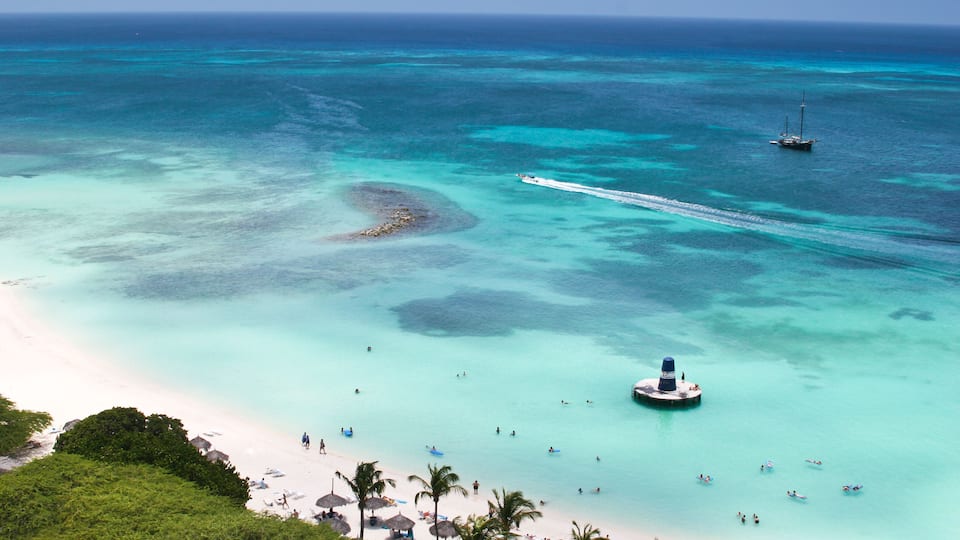 Palm beach at Aruba island, Caribbean sea