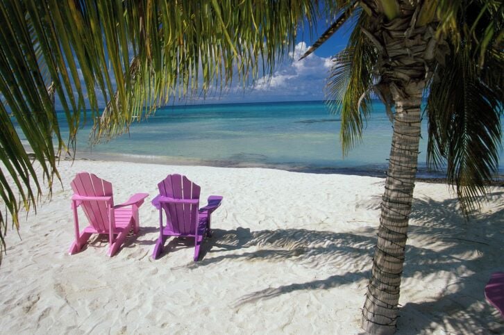Ein Strand mit zwei rosafarbenen Adirondack-Stühlen und einer Palme.