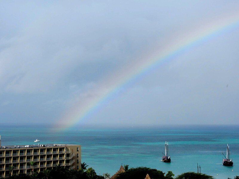 ปาล์มบีช