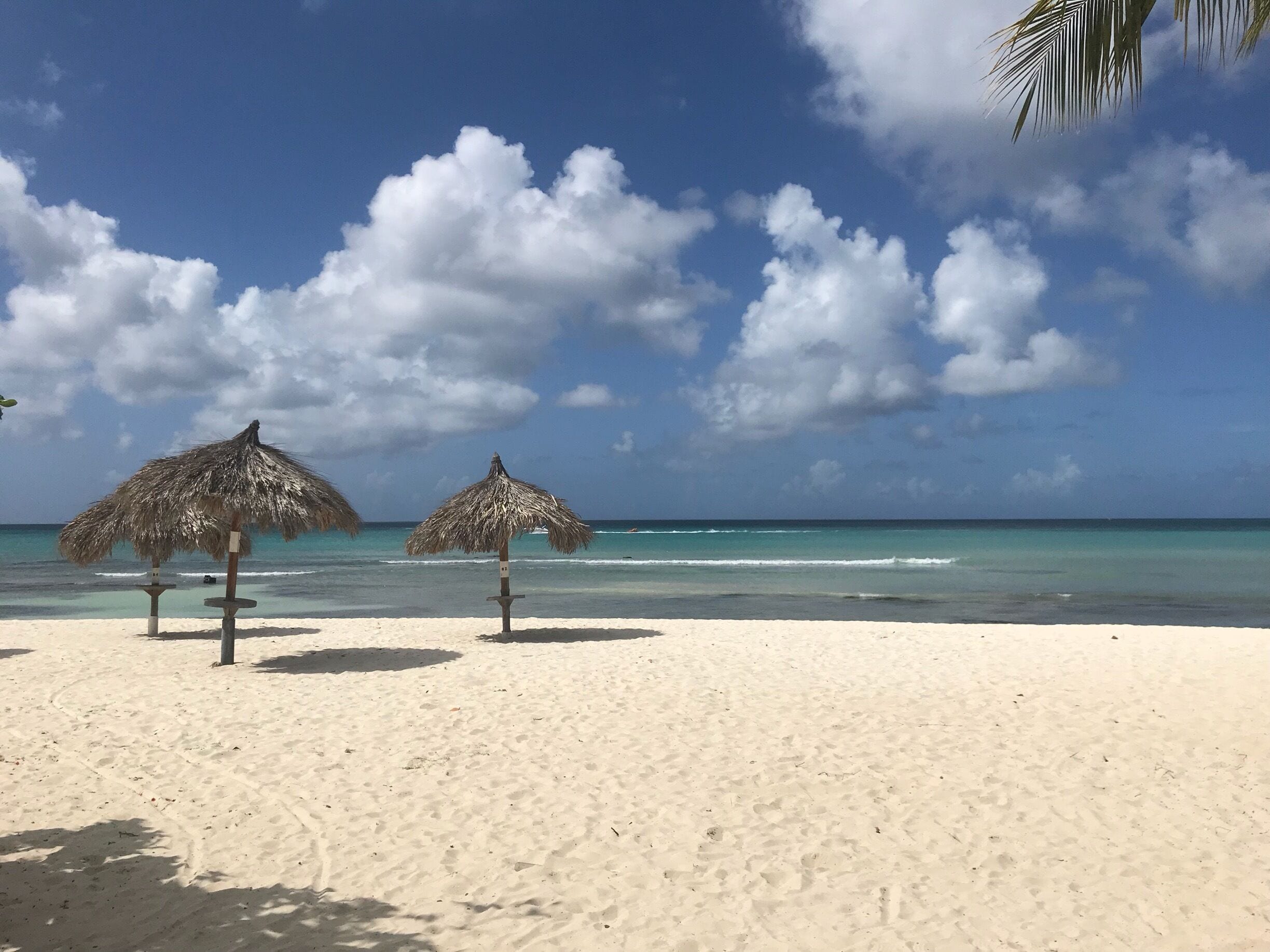 Wish this was my back yard. one happy island 🌴 