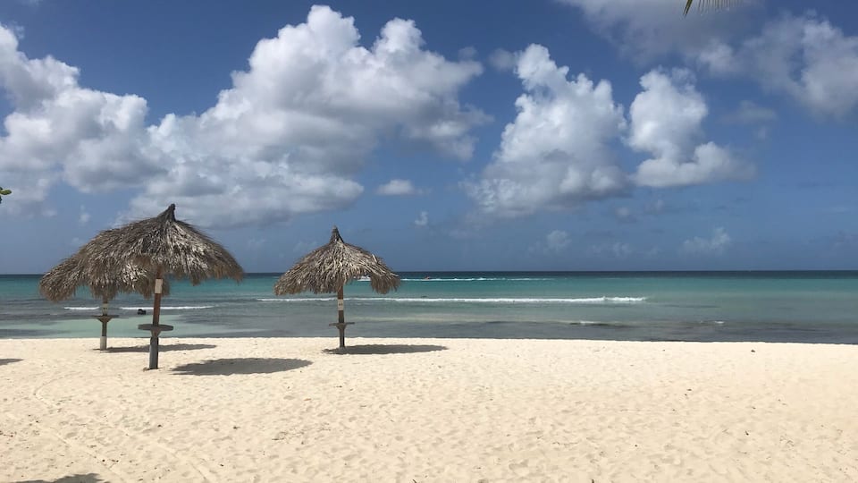 Wish this was my back yard. one happy island 🌴