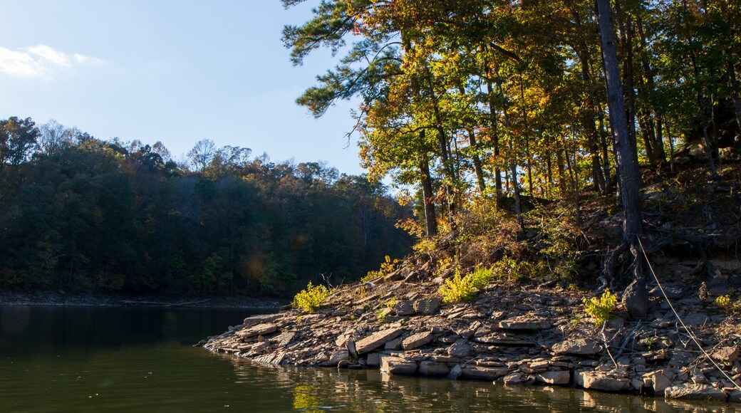 Blue lake background and red leafy tree foreground. Blue water scene. Blue shoreline on Smith Lake with red leaf branch in the foreground. Blue water with colorful leafy foreground.