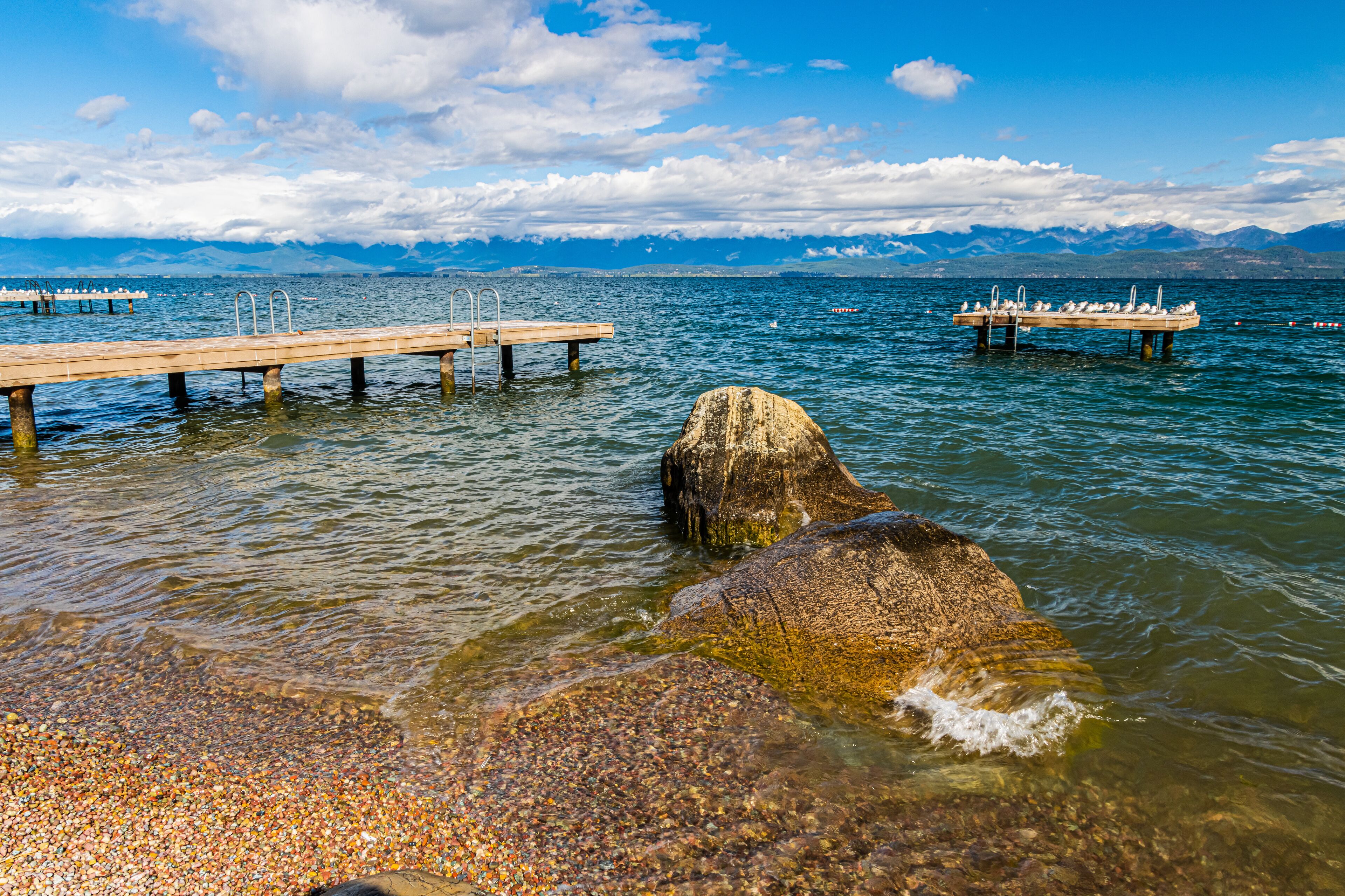 Seagulls on Pier With Snow Capped Mountains, Volunteer Park, Lakeside, Montana, USA
