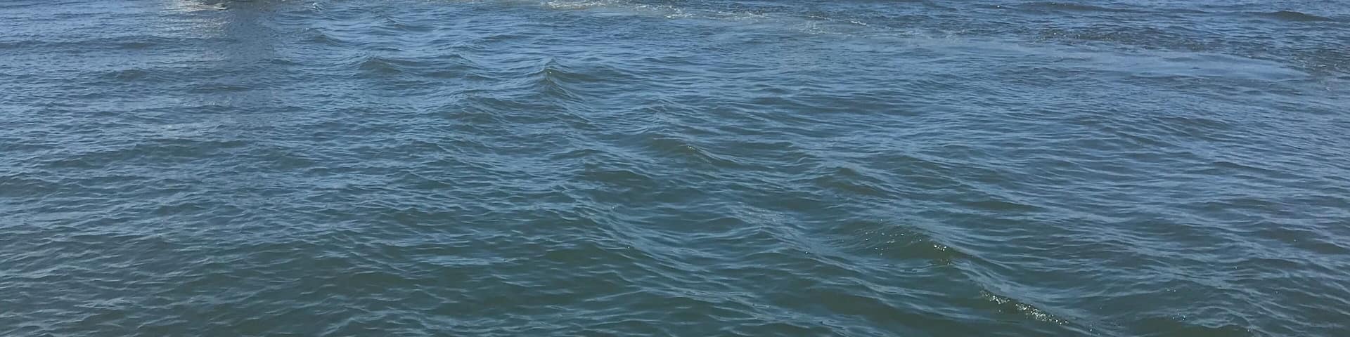 Walking along the boardwalk at the Portage Riverwalk in Indiana Dunes National Park was a peaceful stroll with a great view of Lake Michigan.