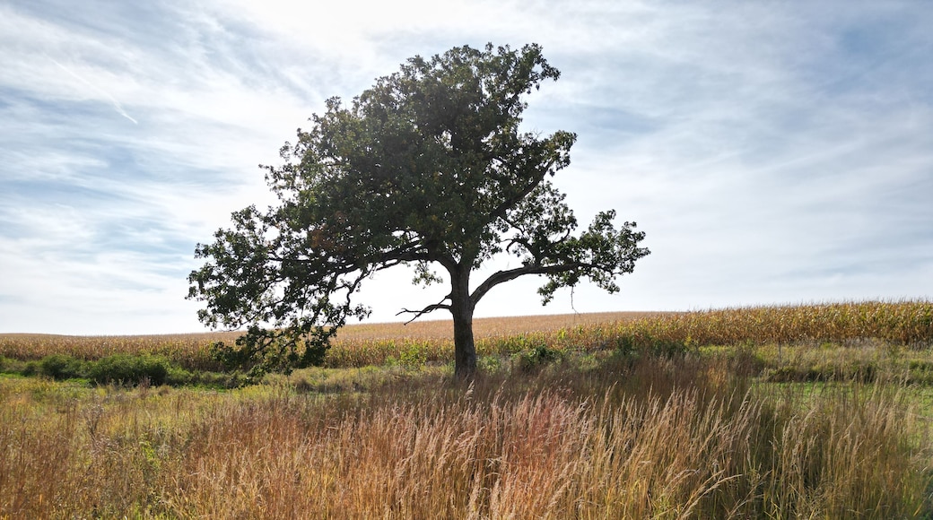 プレイリービューパーク