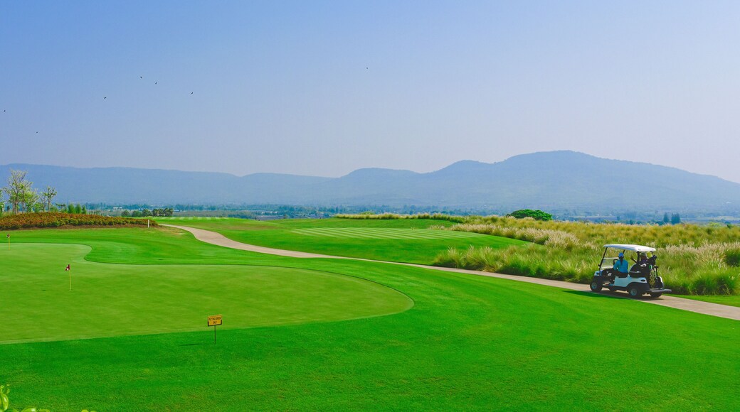 Golf course scenery view