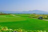 Golf course scenery view