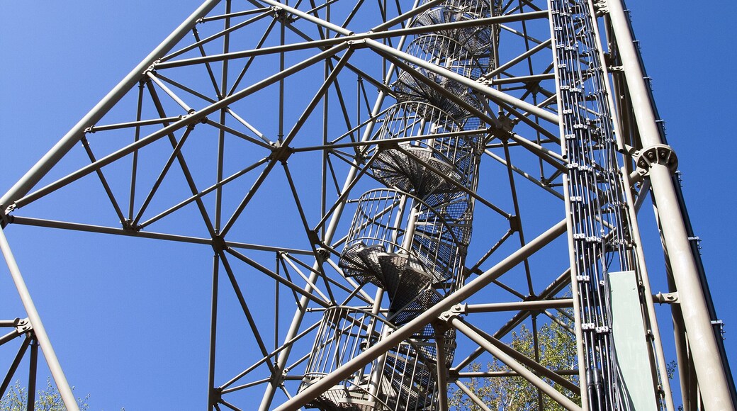 Modern city view in the morning