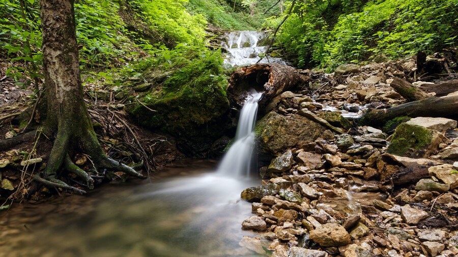 The water cascades down from the springs deep in the woods. This tranquil park is a beautiful place to visit during the summer and fall.