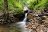 The water cascades down from the springs deep in the woods. This tranquil park is a beautiful place to visit during the summer and fall.