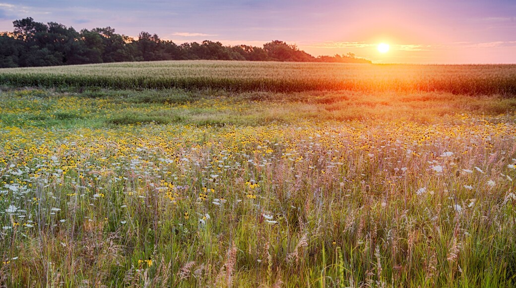 Sunrise at Fort Defiance State Park in the Summer.