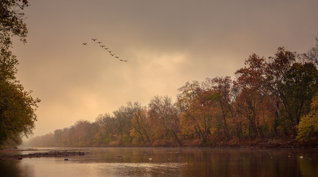 Break from My Morning Commute