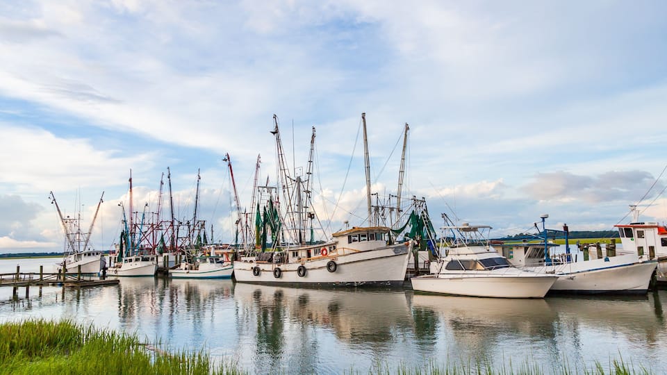 A harbor with several fishing boats docked, calm water, and a grassy foreground.