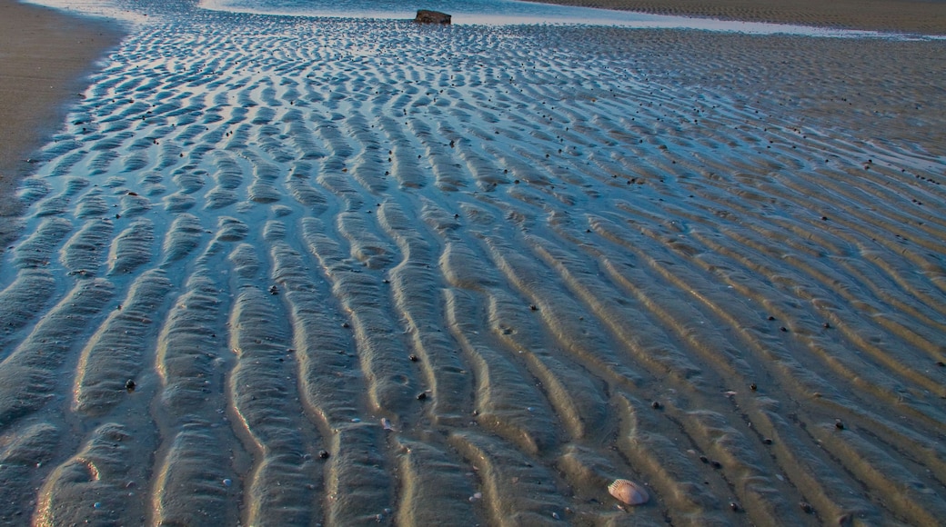 Tidal Flats at Mitchilville Beach and Port Royal Sound Near Palmetto Hall, Hilton Head Island, South Carolina, USA