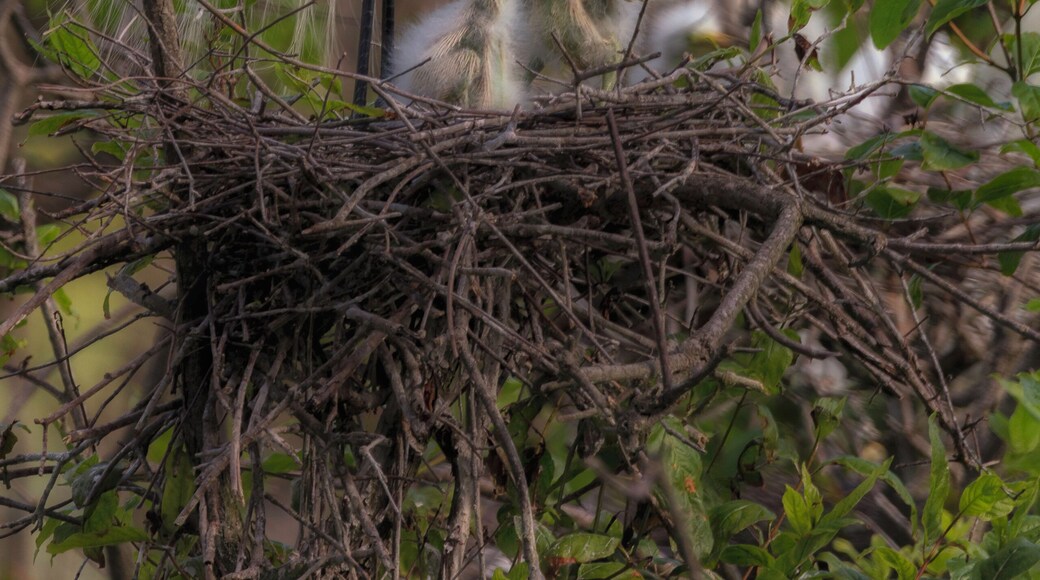 Some even have babies!