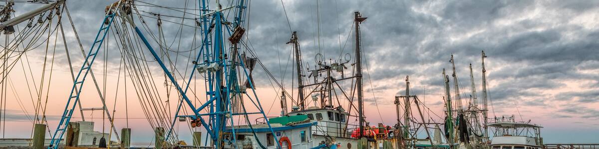 Shrimp Boats in Port Royal, South Carolina