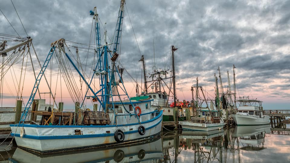 A harbor with several fishing boats docked, featuring masts and nets.