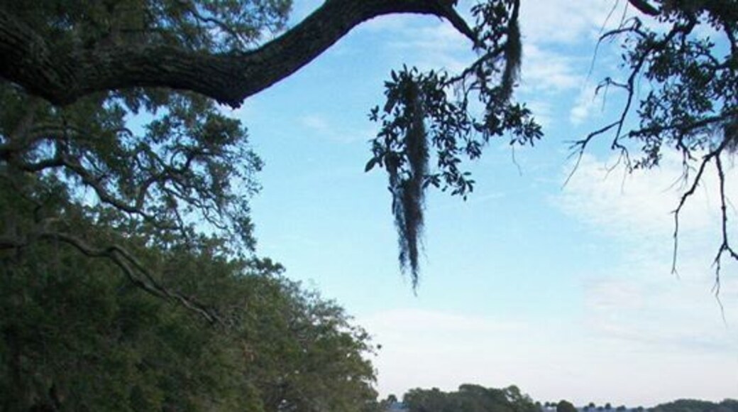 Tucked away on Parris Island, close to the Marine Base is this small park and nature trails.