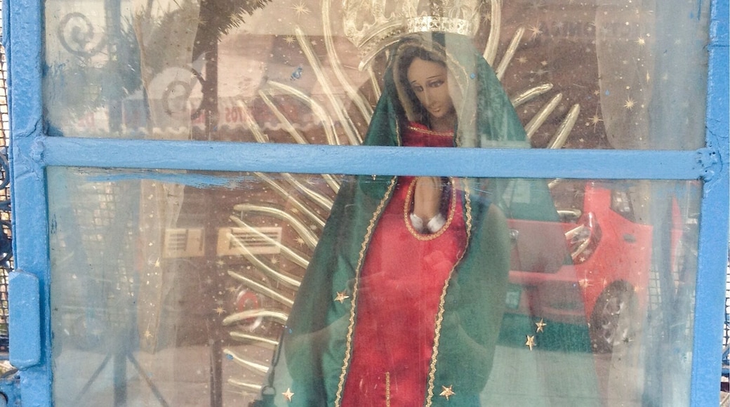 I created the Holy list to show the diversity of altars, thought it could be interesting. Mexico is a mainly Catholic country, and the majority is devoted to the Virgin of Guadalupe.
Hope you enjoy it :)
#outdoors #religion #devotion #tradition #travel #troveon #mexico #virgin #altar