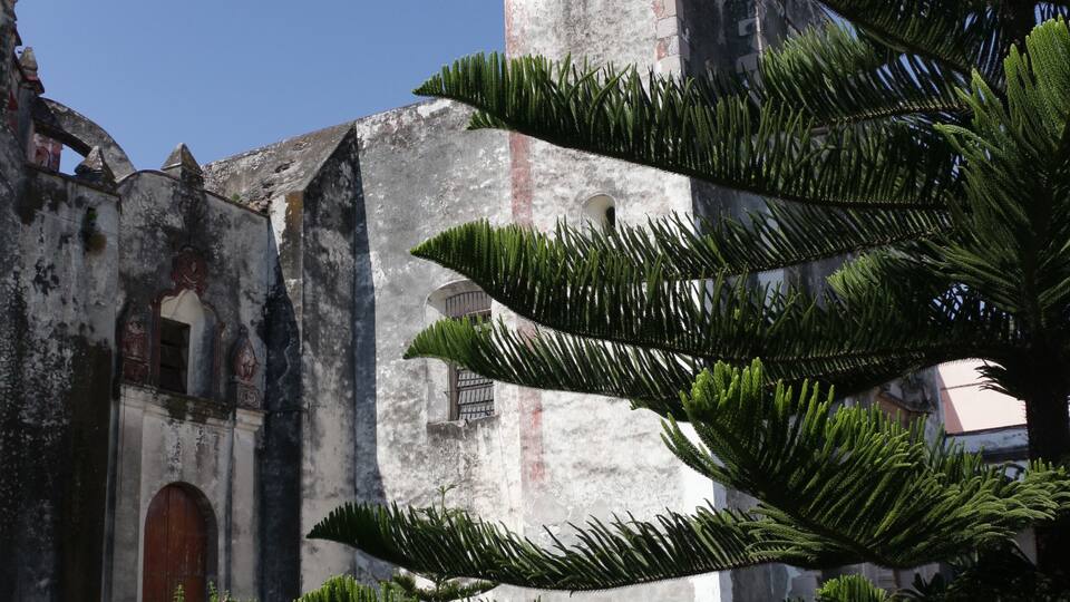 An old church with a bell tower and lush greenery.