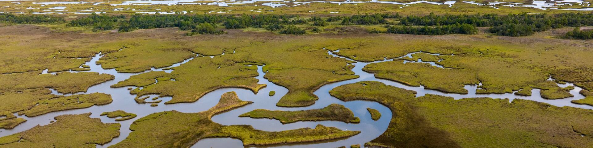 Un paisaje de humedal con intrincadas vías fluviales y zonas de vegetación verde.