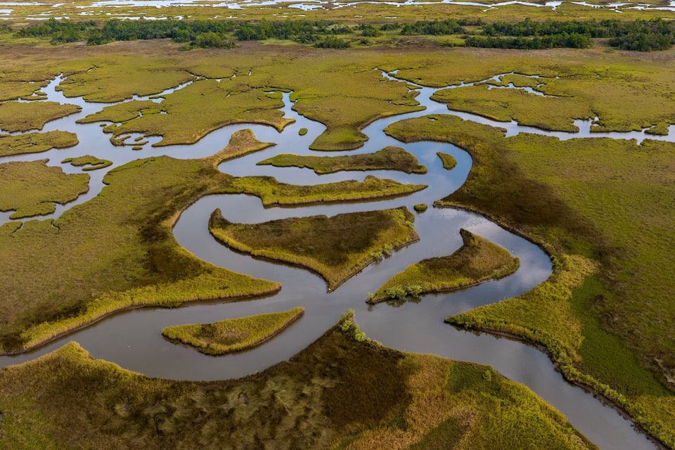 A wetland landscape with intricate water channels and patches of green vegetation.