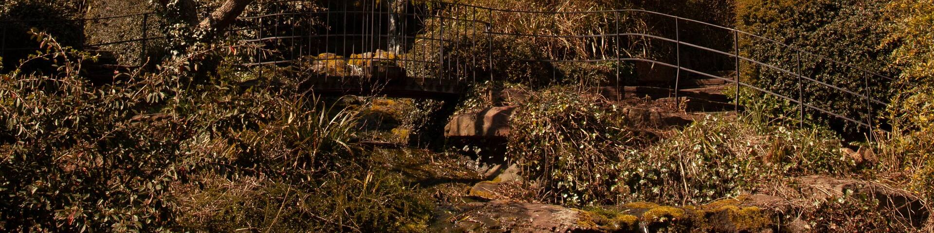 Vista of the picturesque Brandon Hill, a city park with wild flowers, ponds, trees and shrubs located near Bristol city center. At summit there is Cabot tower built to commemorate John Cabot's voyage.