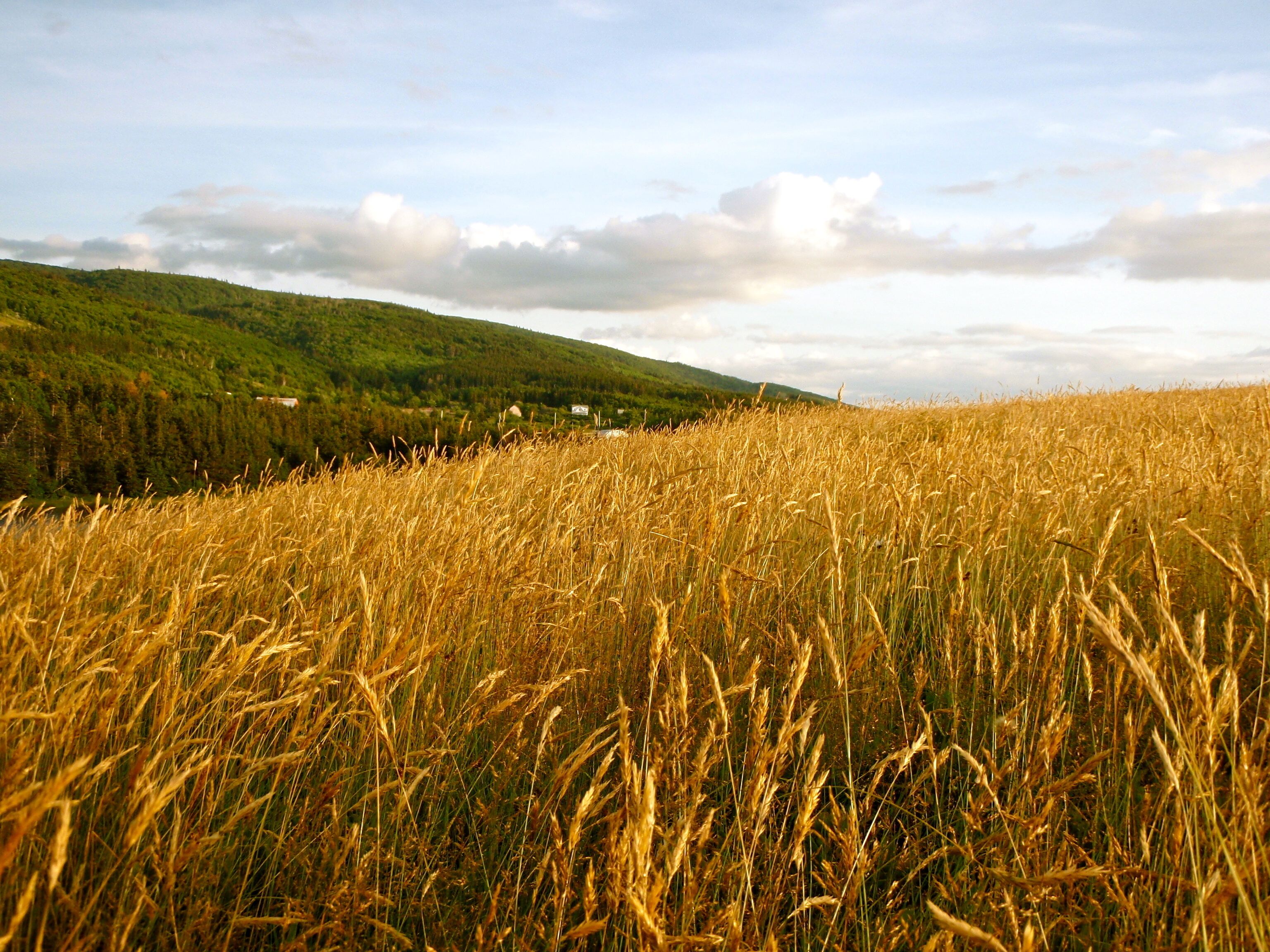 Cape Breton Nova Scotia