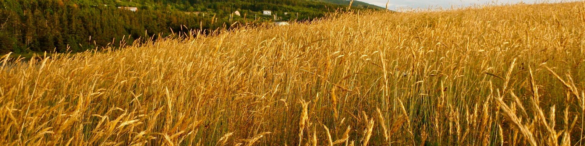 Cape Breton Nova Scotia