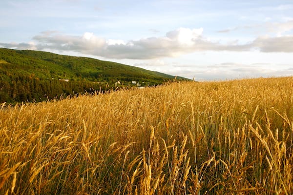 Cape Breton Nova Scotia