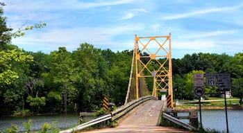 Beaver Bridge