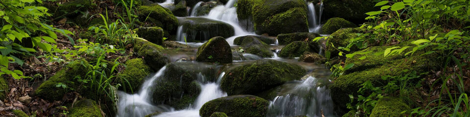 A cascading waterfall over moss-covered rocks in a forested area.