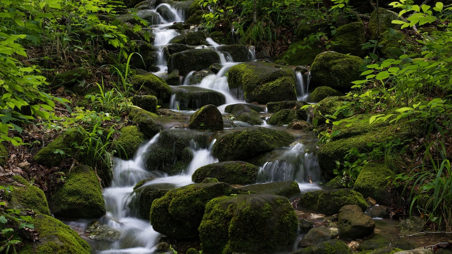 Cascade of water flows down moss covered rocks in Lost Valley state park near Ponca Arkansas.