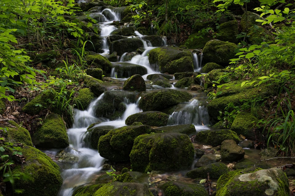 A cascading waterfall over moss-covered rocks in a forested area.