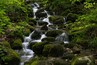Lost Valley State Park