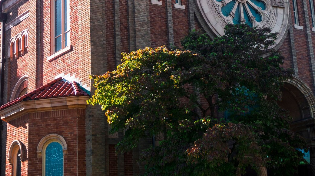 แอมเฮอร์ส