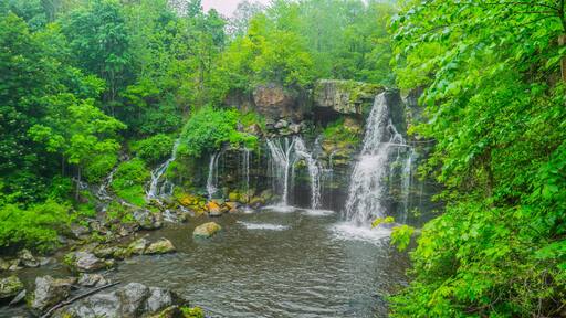 คลาเรนซ์