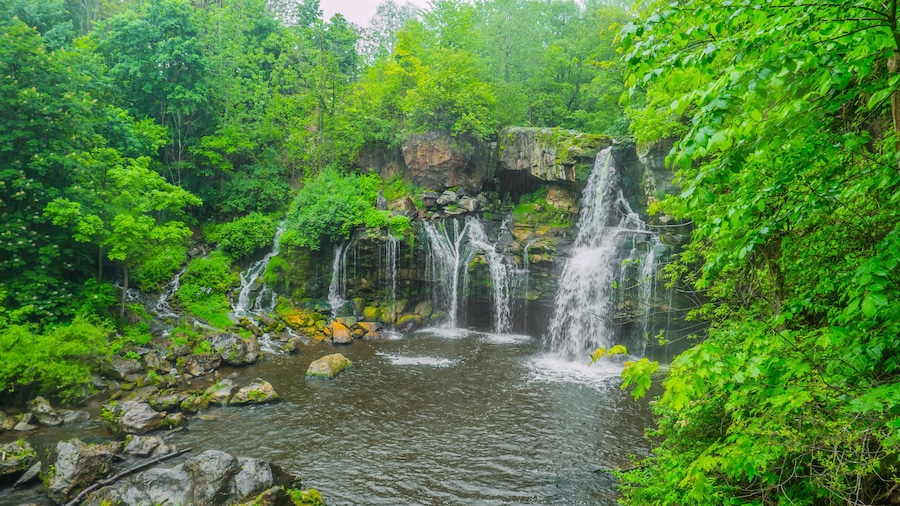 Green unknown oasis in new york
