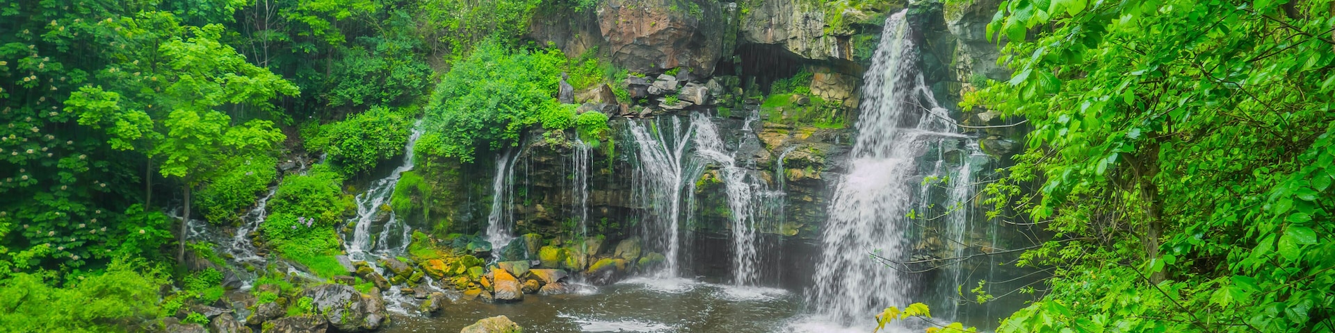 Green unknown oasis in new york