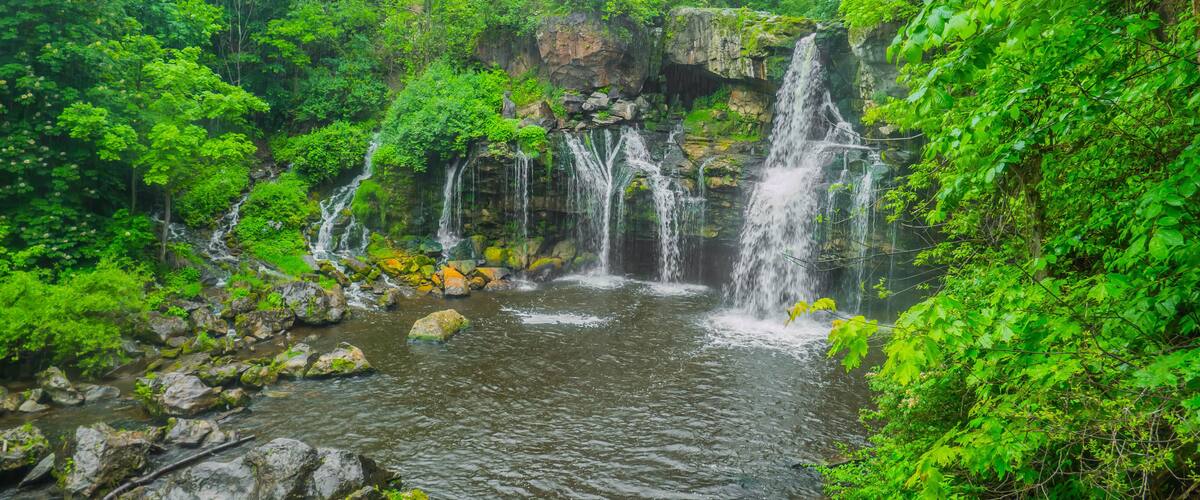 A waterfall cascading over rocks into a river surrounded by dense green foliage.