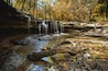 waterfall in an autumn forest