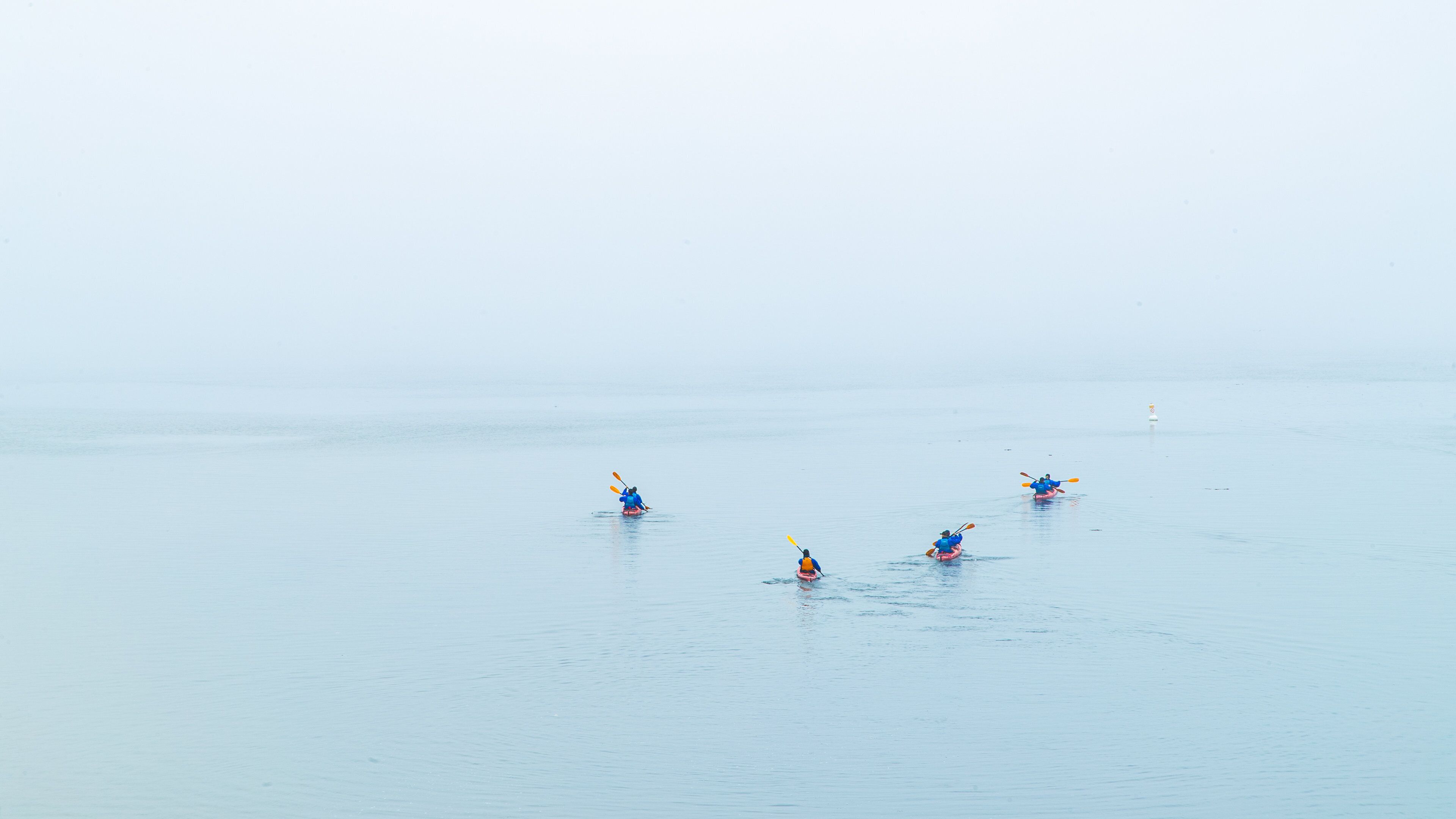 Tadoussac which includes kayaking or canoeing, a lake or waterhole and mist or fog