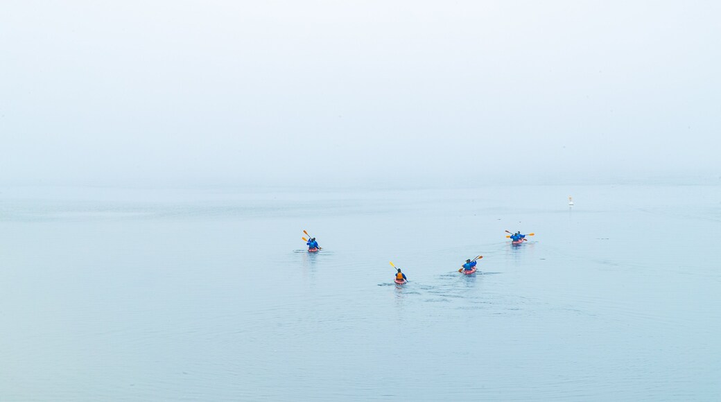 Tadoussac which includes kayaking or canoeing, a lake or waterhole and mist or fog
