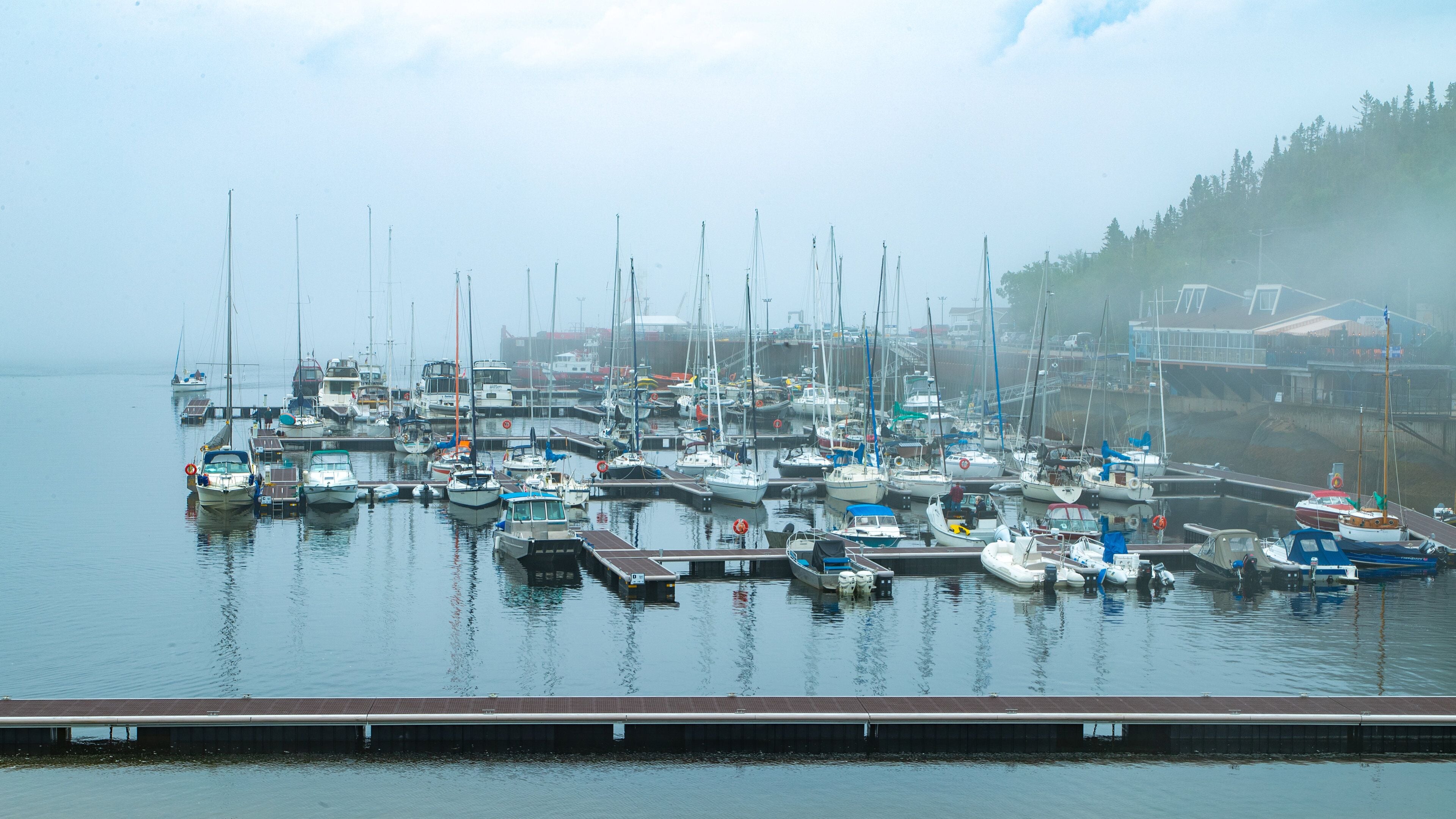 Tadoussac which includes mist or fog and a bay or harbor