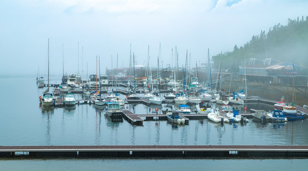 Tadoussac which includes mist or fog and a bay or harbor