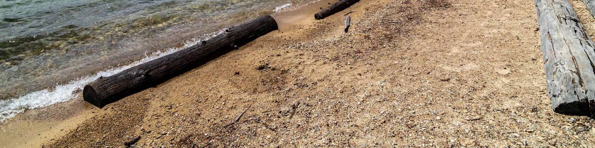 A sandy beach with driftwood and a forested shoreline.